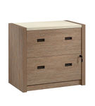 Sauder - Dixon City 2-Drawer Lateral File Cabinet - Brushed Oak