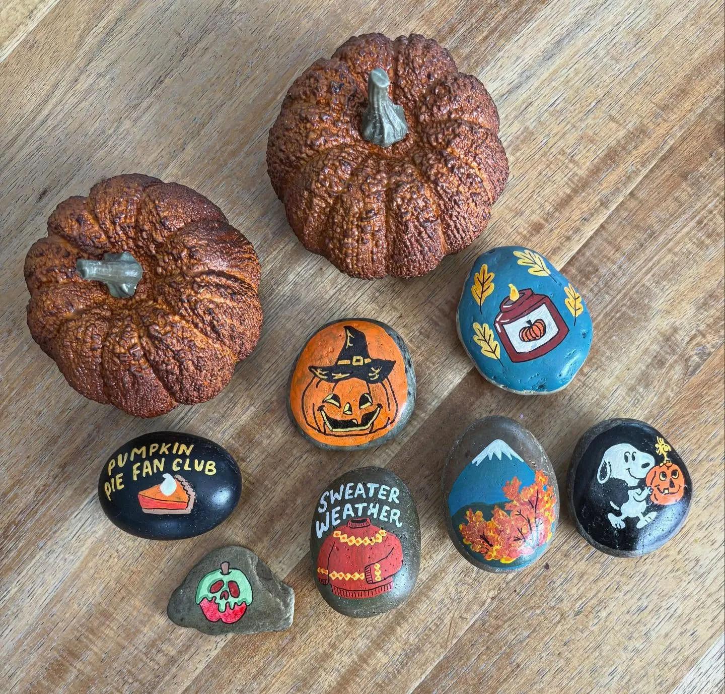 40 Cozy Autumn Rock Painting Ideas to Fall In Love With 12 fall themed painted rocks