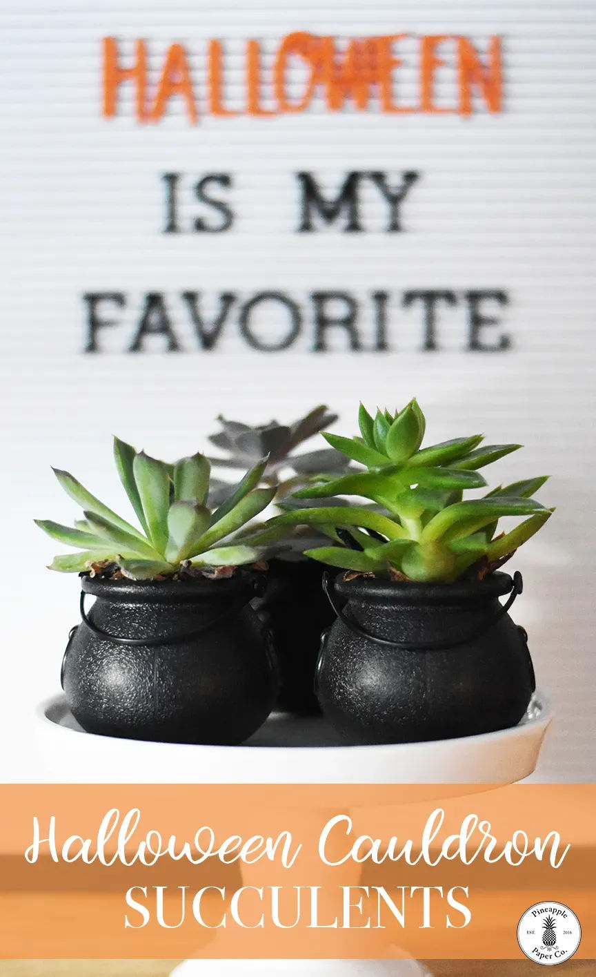 35 Glorious Hocus Pocus Crafts for a Spook-tacular Halloween 27 hocus pocus crafts