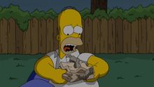 A Simpson Család 20. Évad 13. Epizód online sorozat