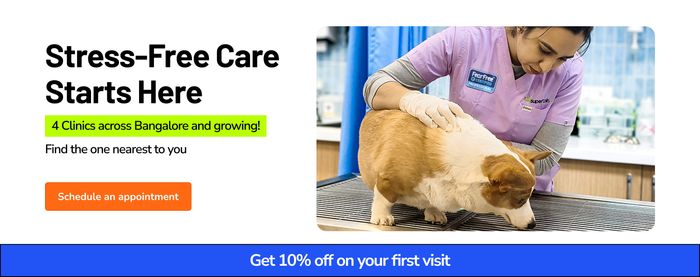 86d0hbybe_clinic_main_banner_clinic_update_15_12_25.webp__PID:ceb78ac8-7c2e-42bf-8011-e514f8ae32a8