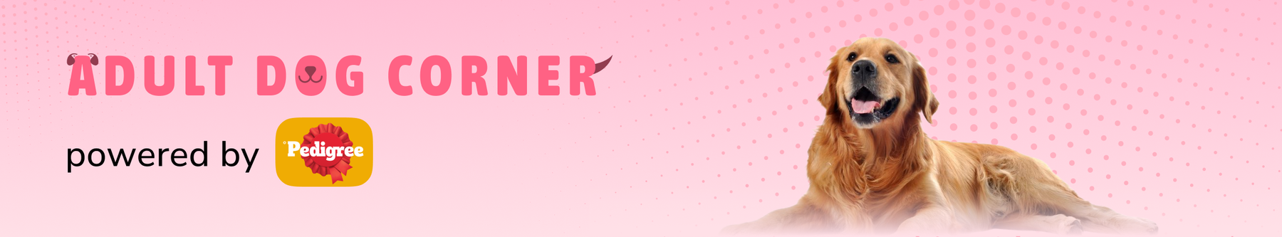 frame_1707513040.webp__PID:34982321-4a7d-4c0e-afe7-51246a0a534c