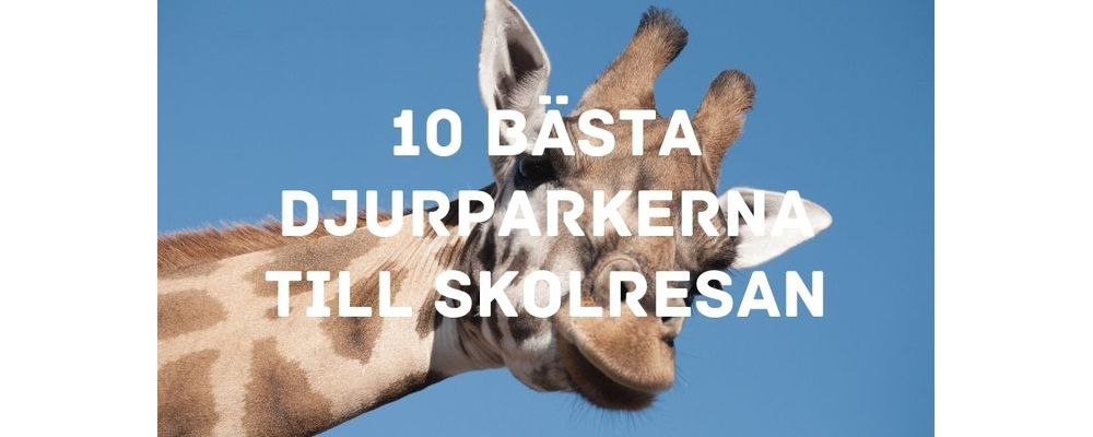 10 bästa djurparkerna till skolresan - Guiden till Sveriges djurparker