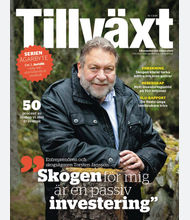 Tillväxt nr 3 2025
