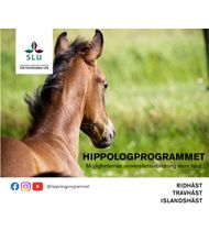 Hippologprogrammet