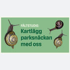 Kartlägg Parksnäckan