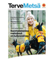 Terve Metsä - Teema Kotimainen metsä