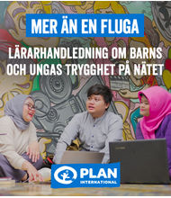 Mer än en fluga - Lärarhandledning om barns och ungas trygghet på nätet