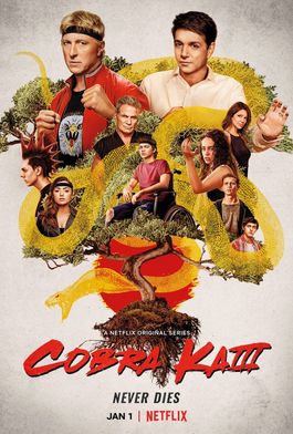 Cobra Kai online-Cobra Kai