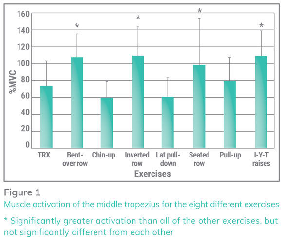 Comparison of Kinematics and Muscle Activation in Free-Weight Back