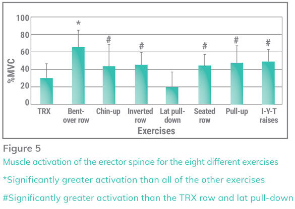 Back Exercises: 5 Best Exercises For Back Muscle, by Infotechnical