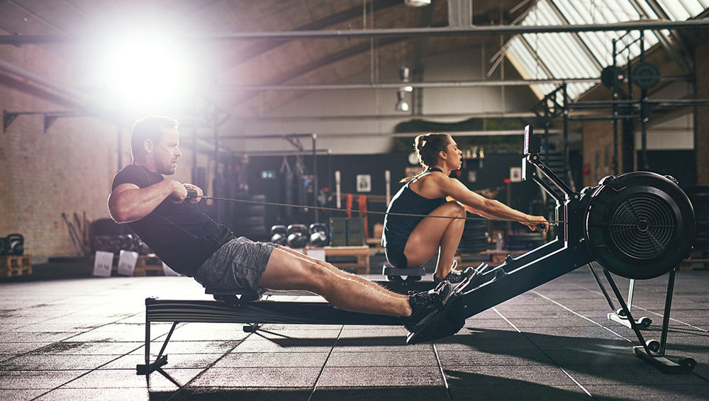 Study: When Training Load Changes, the Microbiome Changes, Too