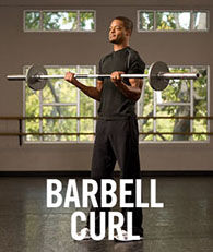 Best Biceps Workout Plan