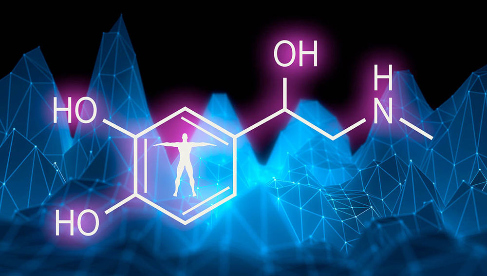 Understanding the Link Between Hormones and Metabolism