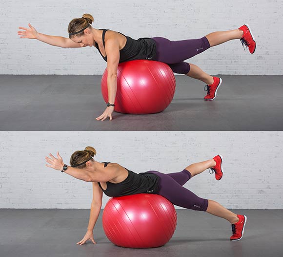 bird dog stability ball