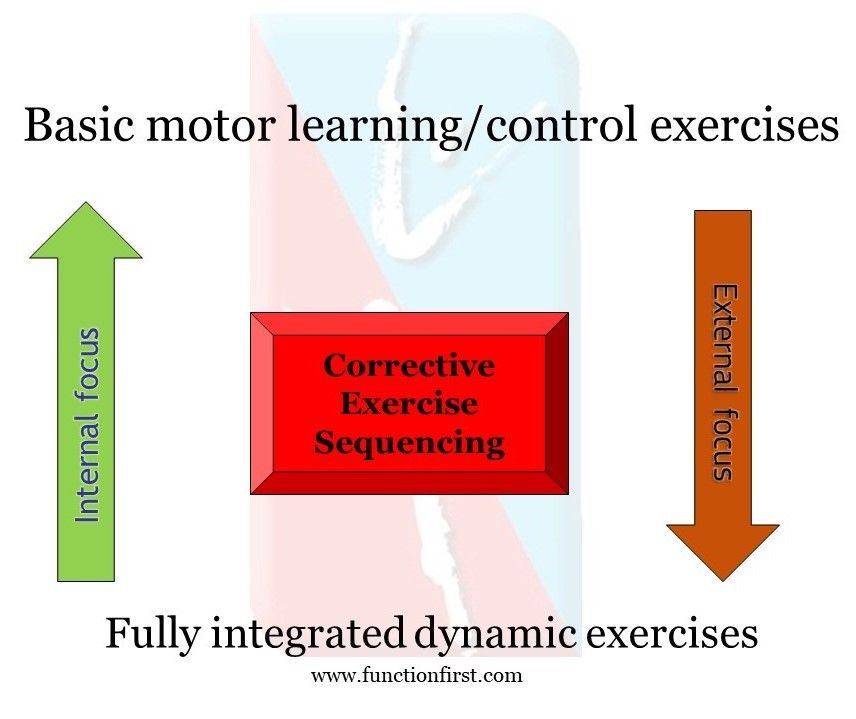 Basic motor learning_control exercises