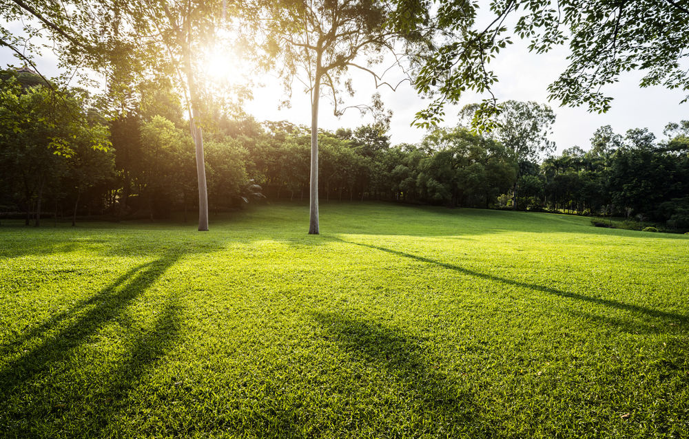 Finding Strength in Physical Activity: A Letter of Inspiration from Ronald McEntire