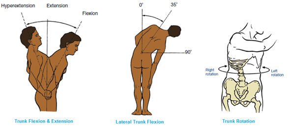 Core muscles