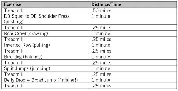 Obstacle Course Training Program