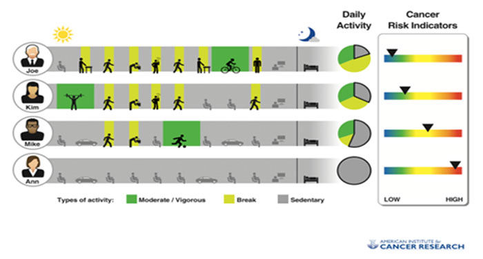 The Difference Between Fitness and Exercise