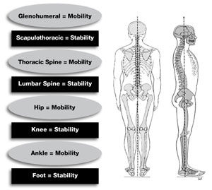 How to Increase Upper-body Stability and Mobility