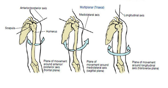 Axis of Rotation