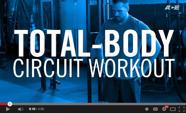 Full Body Circuit Workout