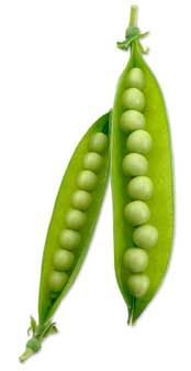 pea pod