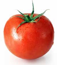 tomato