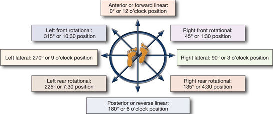 knee fig 4