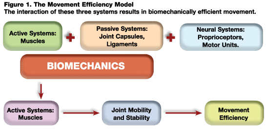 Movement effic