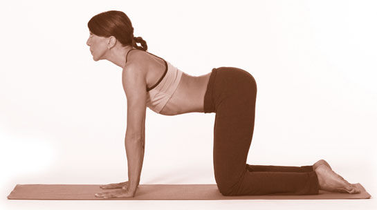 A Young Woman Is Stretching Her Arms Behind Her Back In A Yoga Pose Stock  Photo, Picture and Royalty Free Image. Image 45151924.