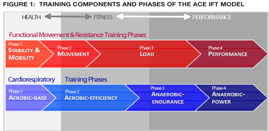 Components of Fitness At a Glance - American Coaching Academy