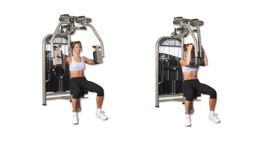 LD-1 Chest Press/Pec Fly