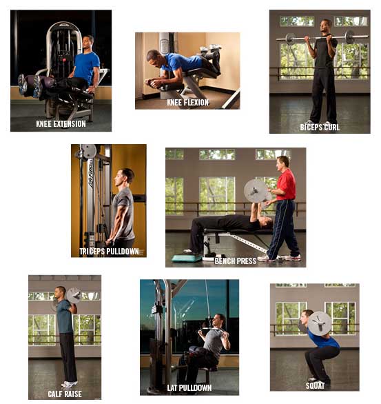 ACE - ProSource™: September 2014 - Dynamite Delts: ACE Research Identifies  Top Shoulder Exercises