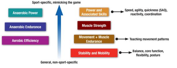 GOAL!!! Develop Winning Soccer Training Programs Using the ACE IFT