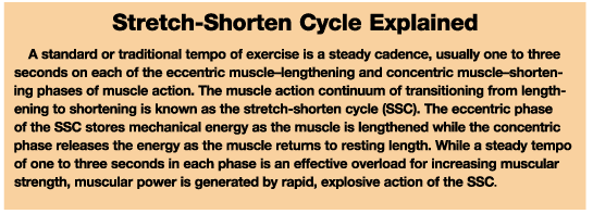 stretch shorten cycle