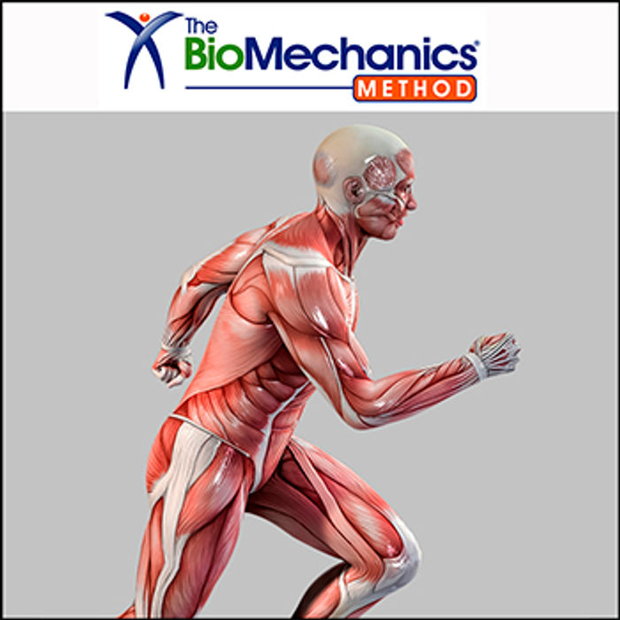 Understanding Muscles and Movement