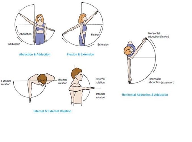 shoulder flexion vs extension