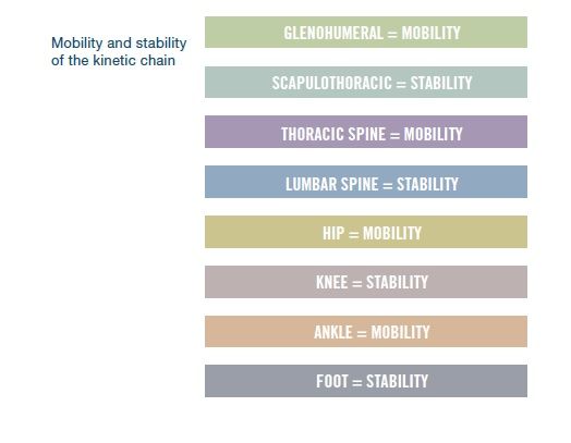 stability-mobility-chain