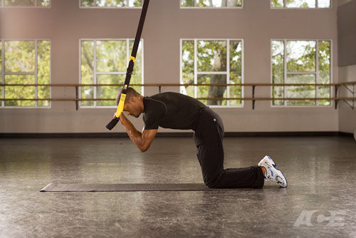 trx exercises for abs