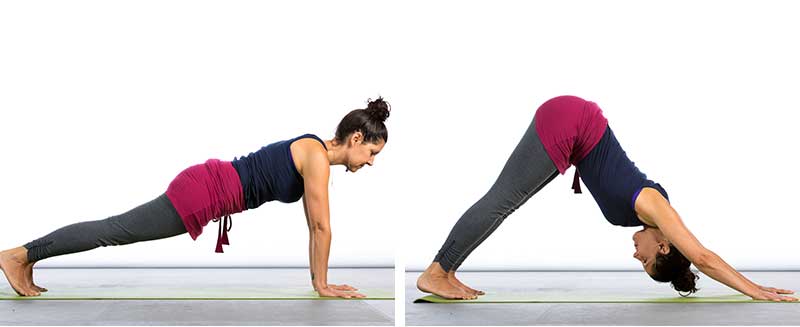 Plank-to-downward Facing Dog