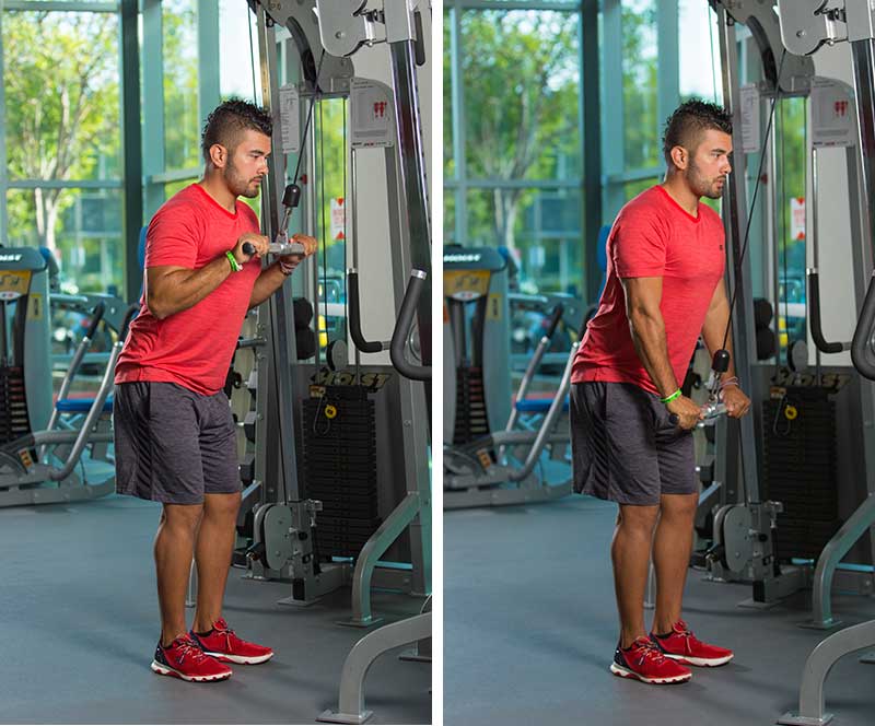 The Best Exercises for Stronger Triceps