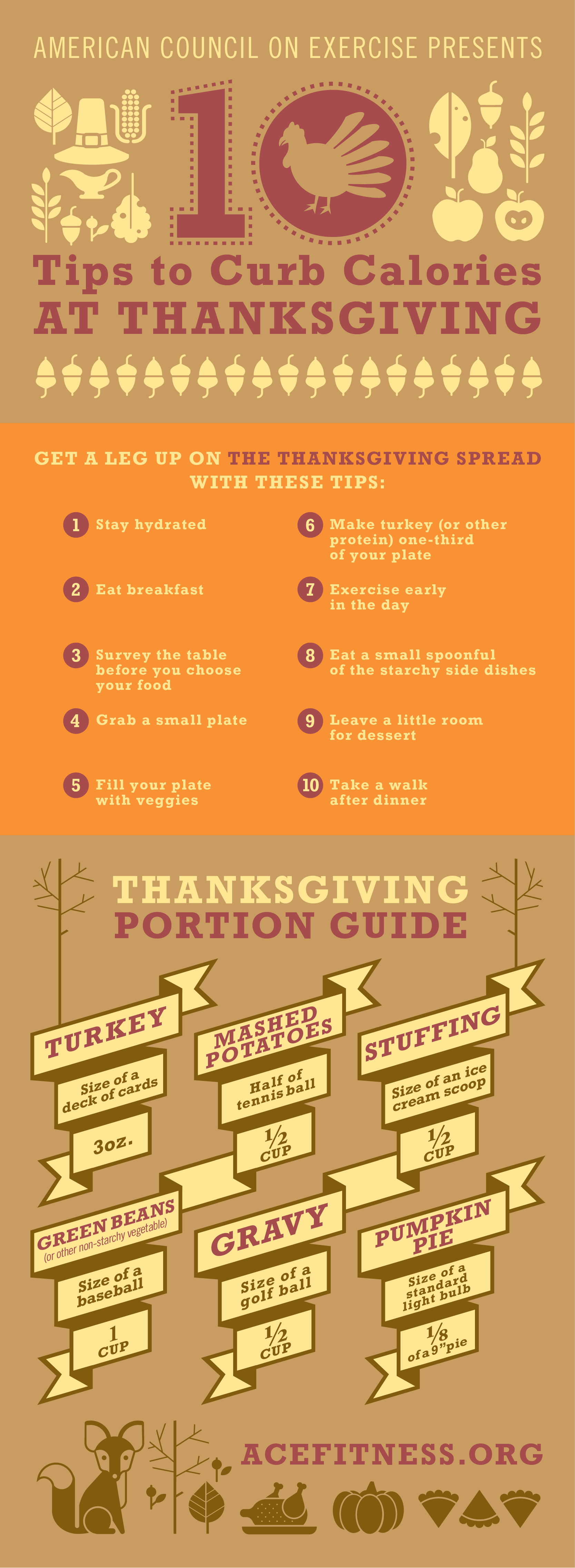Thanksgiving Portion Guide Infographic