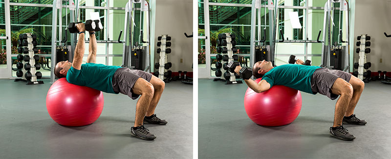 {}female stability ball chest press - Rapid Loss® Program