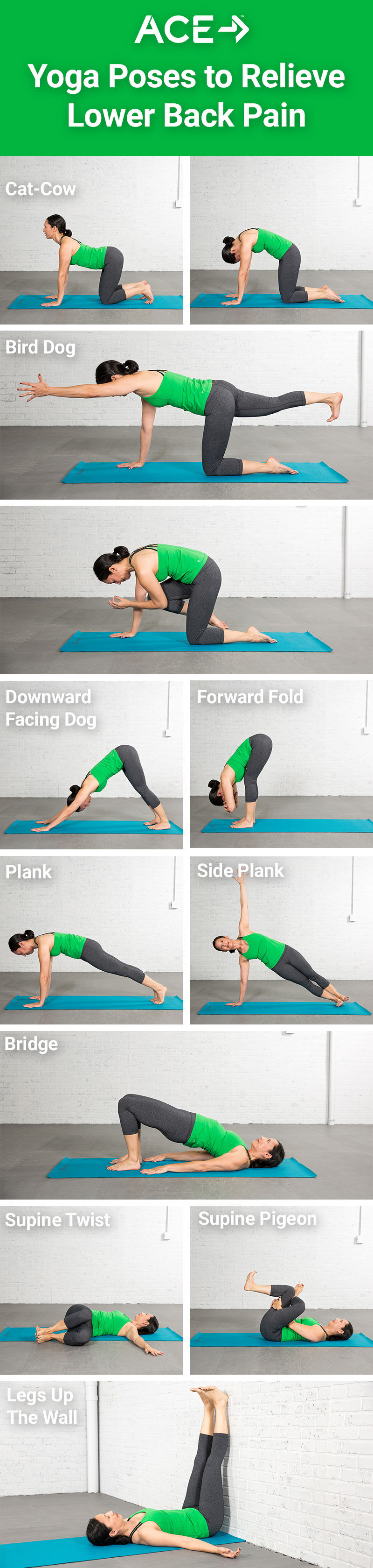 Hatha Yoga Moves for Chronic Lower Back Pain