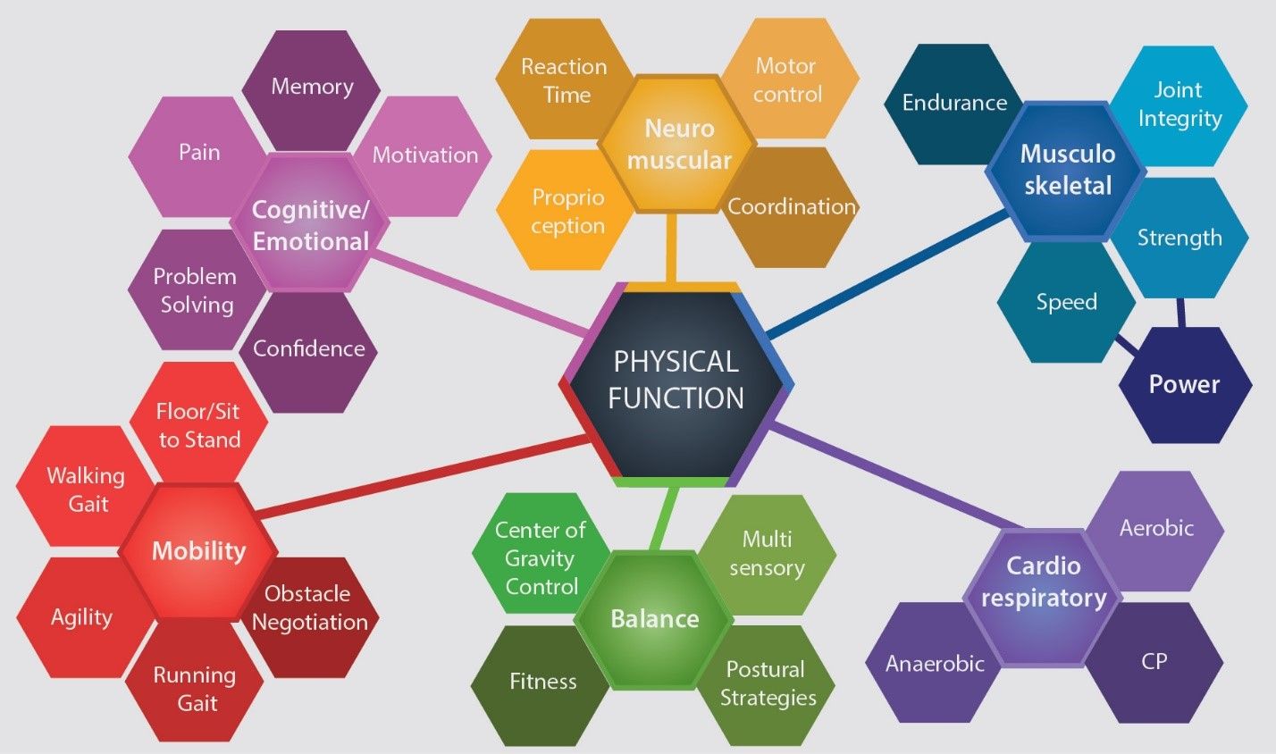 functional-aging-model