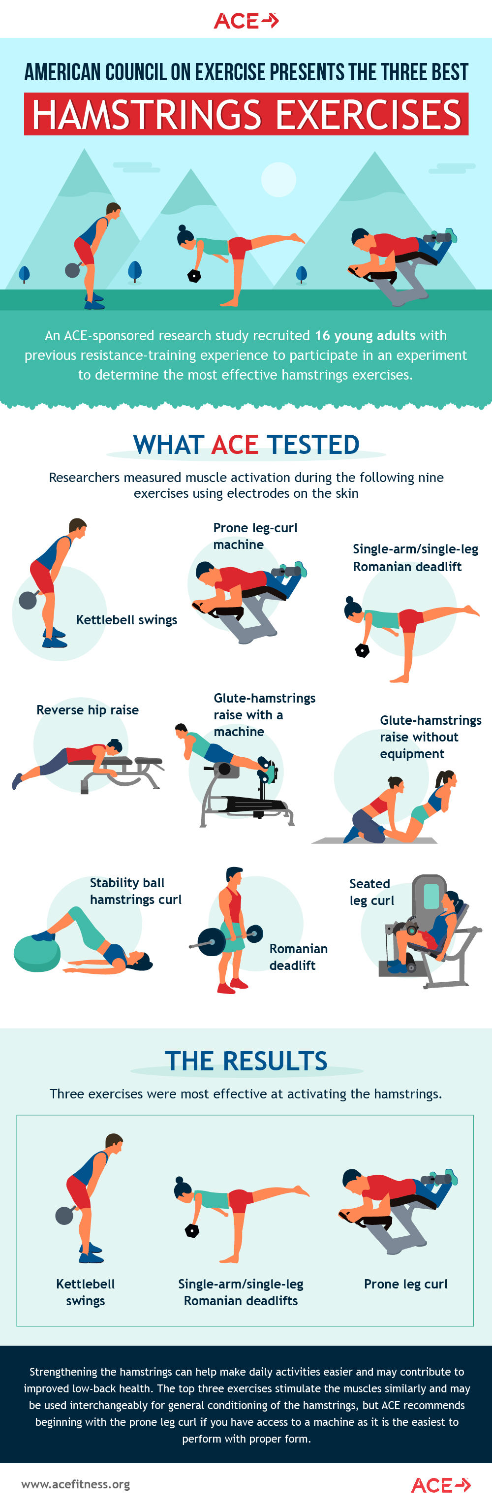 New Research Determines Which Hamstrings Exercises Yield The Best