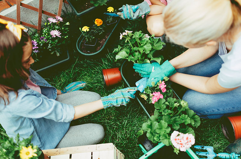 Gardening