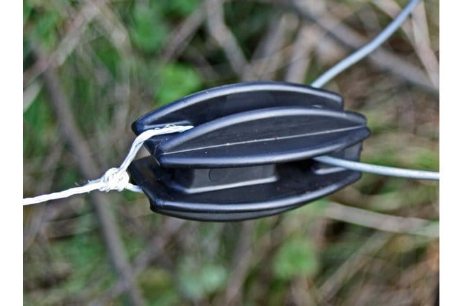 End Strain insulators 2022. image